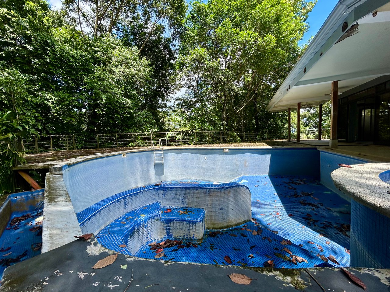 Fixer-Upper Home with an studio Office in Palmar Norte on a 4-Hectare Property