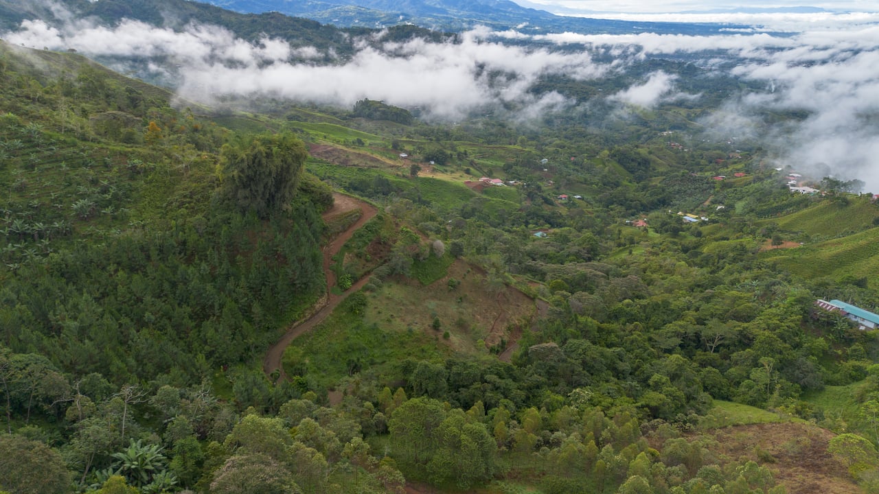10.21 Acres with Views & Plantels – Pérez Zeledón
