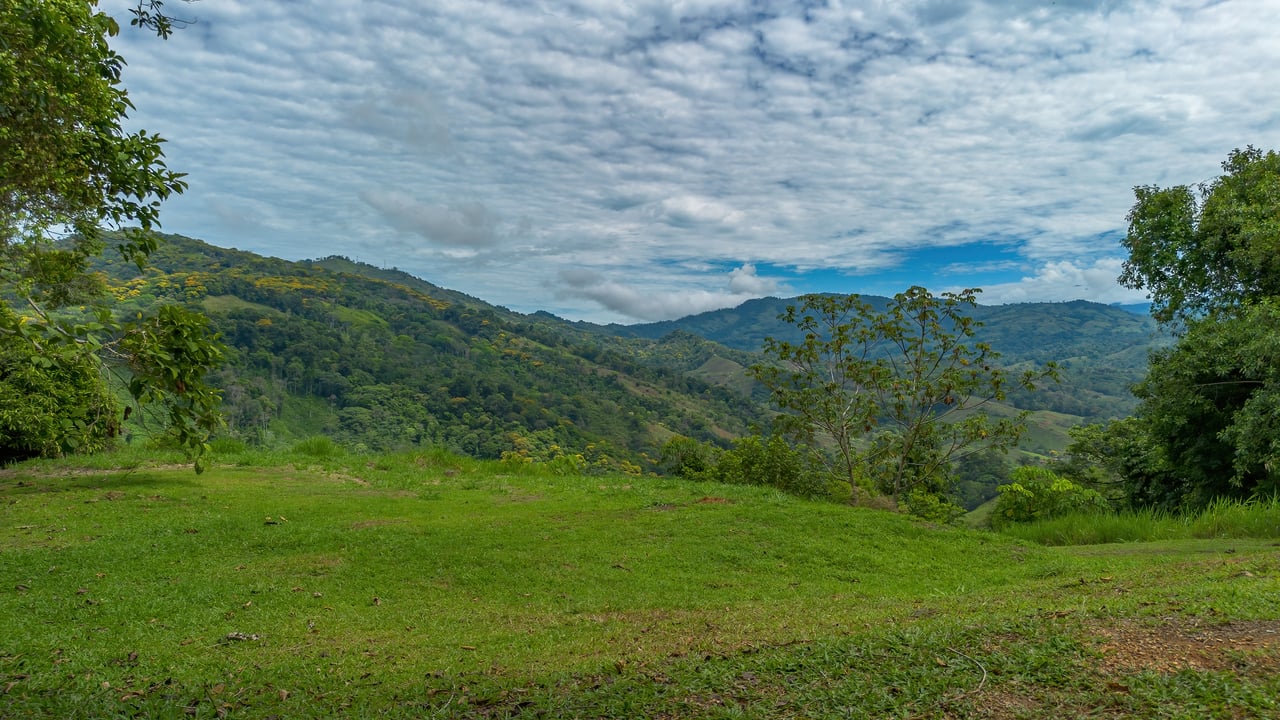 60 Hectares in Platanillo 