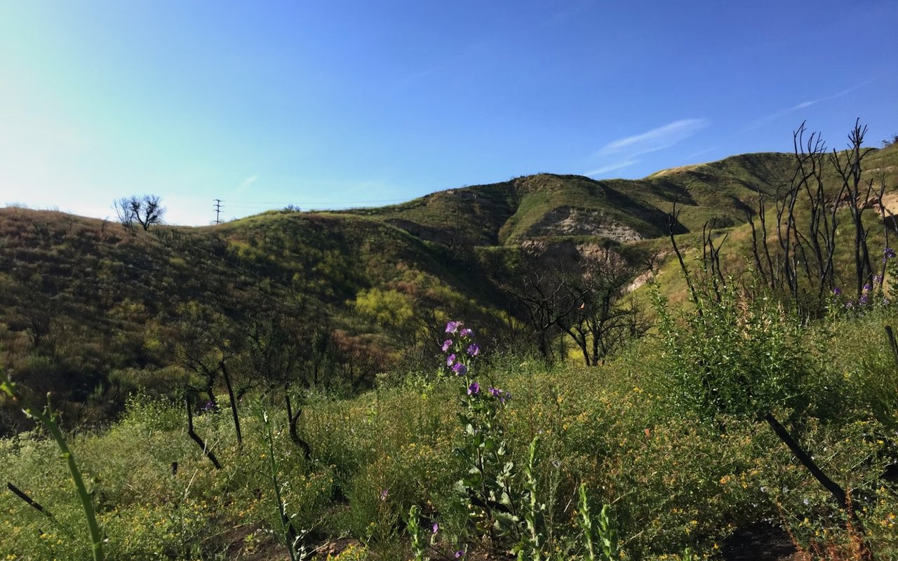 Living in South San Jose, CA