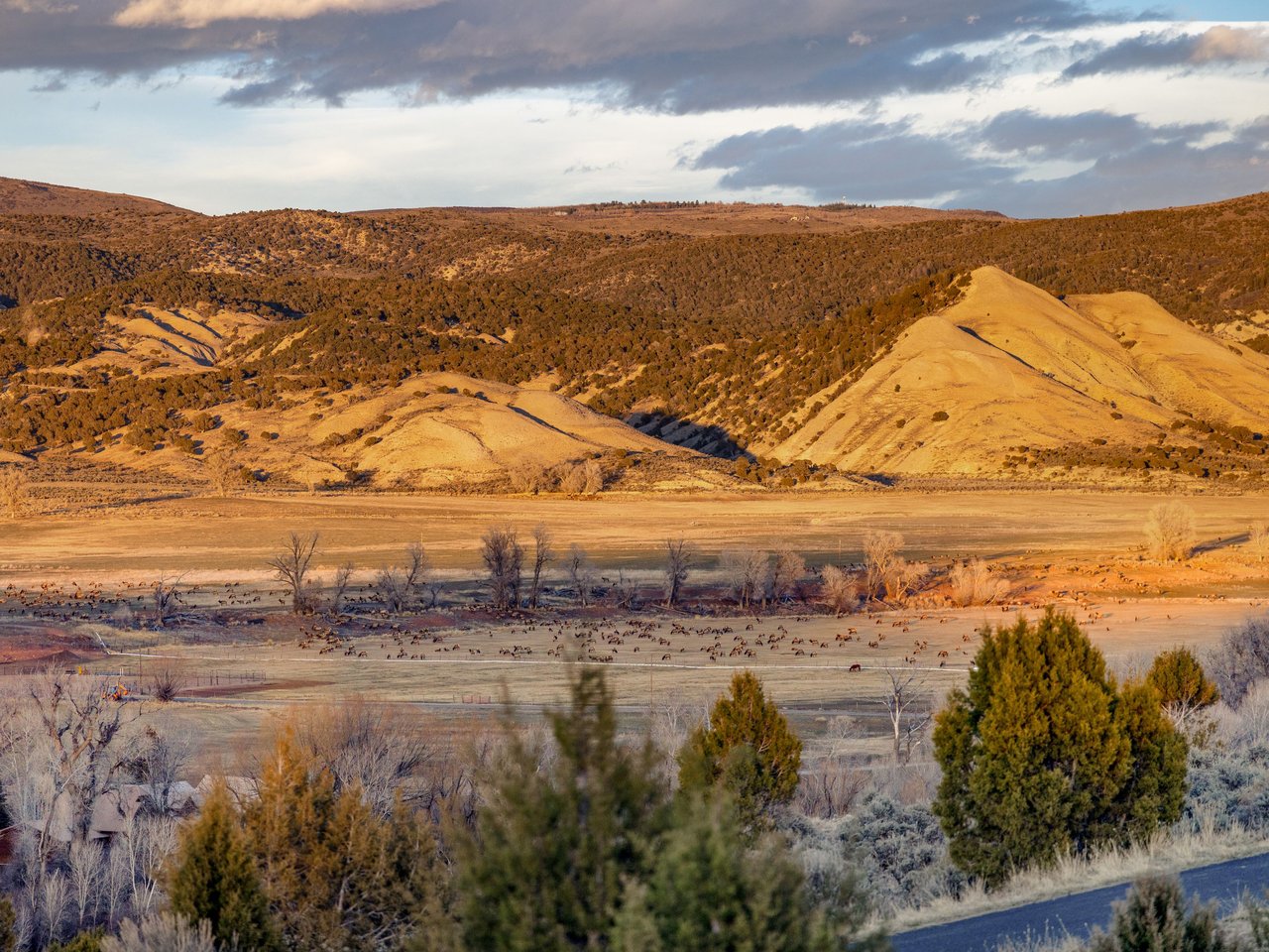 891 E Haystacker Drive