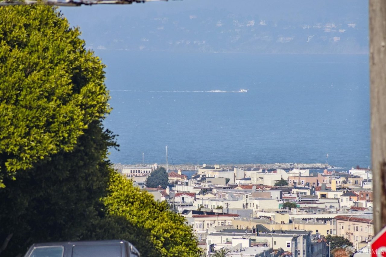 Eco-Friendly Living in Pacific Heights: Sustainability Meets Style