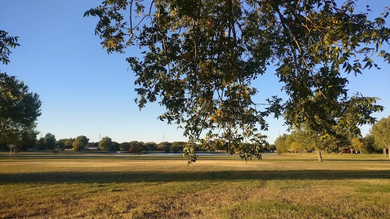 Open grassy park with scattered trees and a pond beneath a leafy canopy.