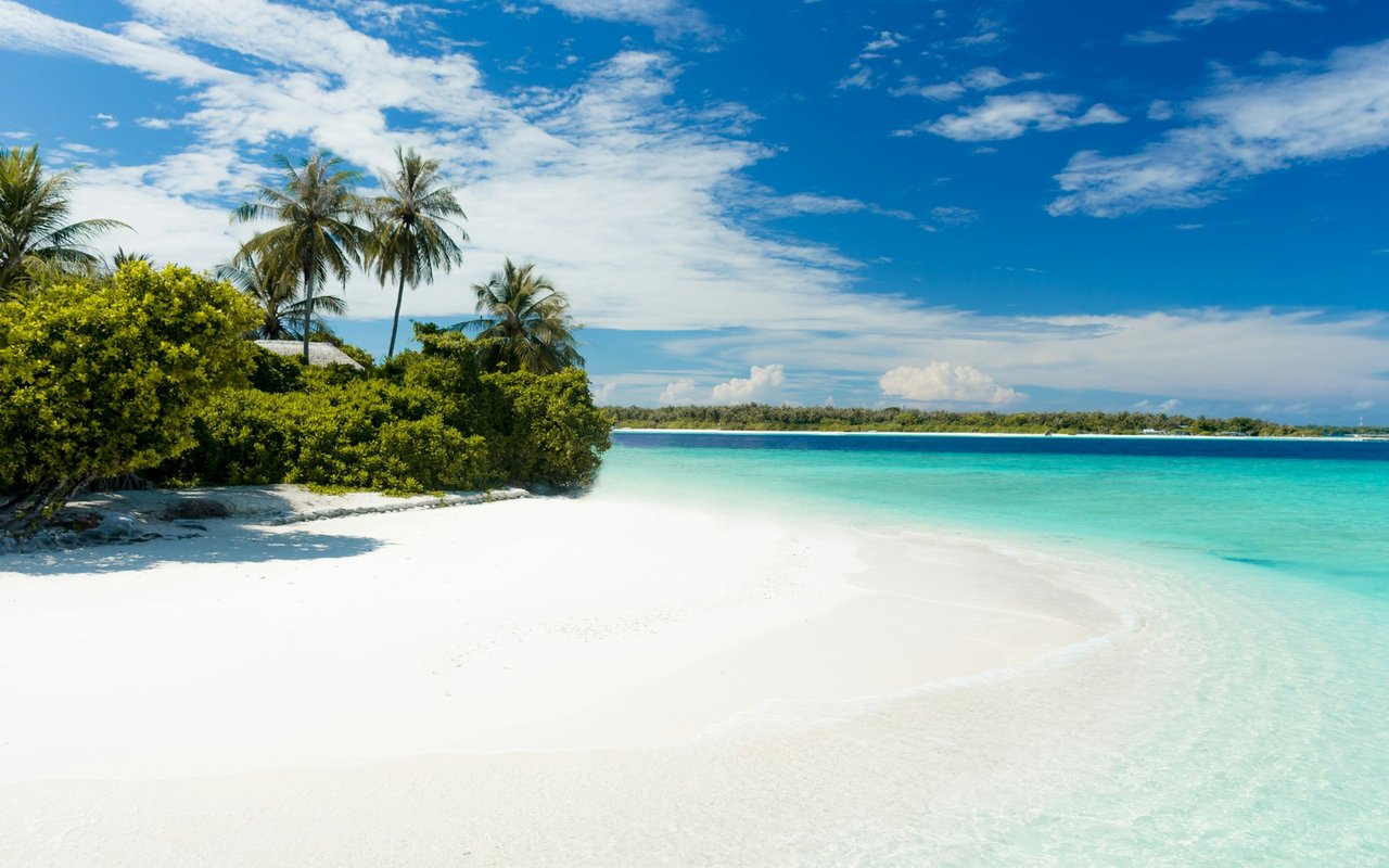 White-sand tropical beach with turquoise water, palm trees, and lush shoreline vegetation.