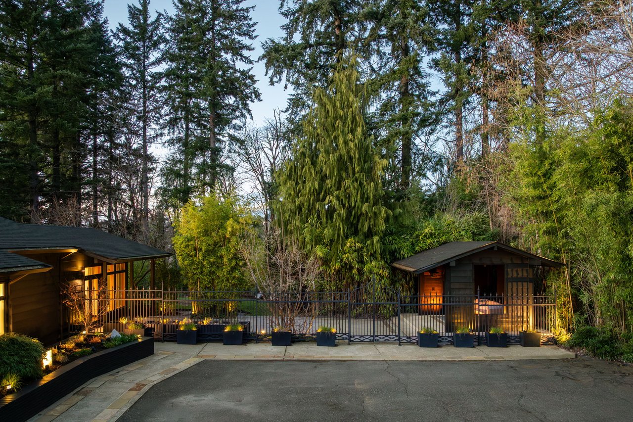 Now Available - Mid-Century Modern Oasis 