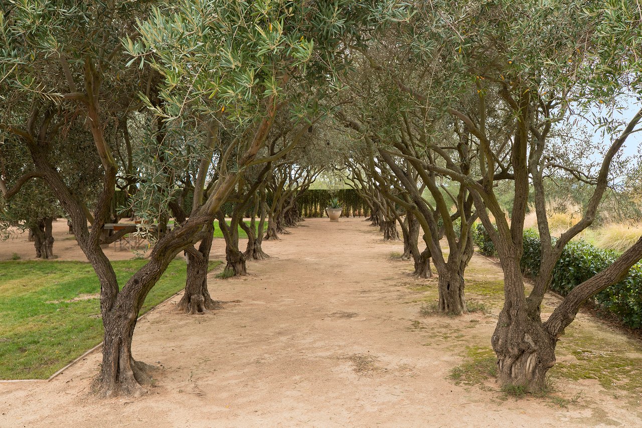 Rancho la Zaca
