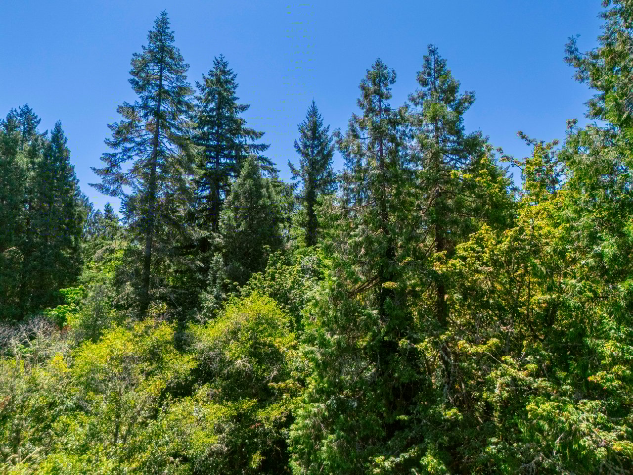 London Grove Riverfront