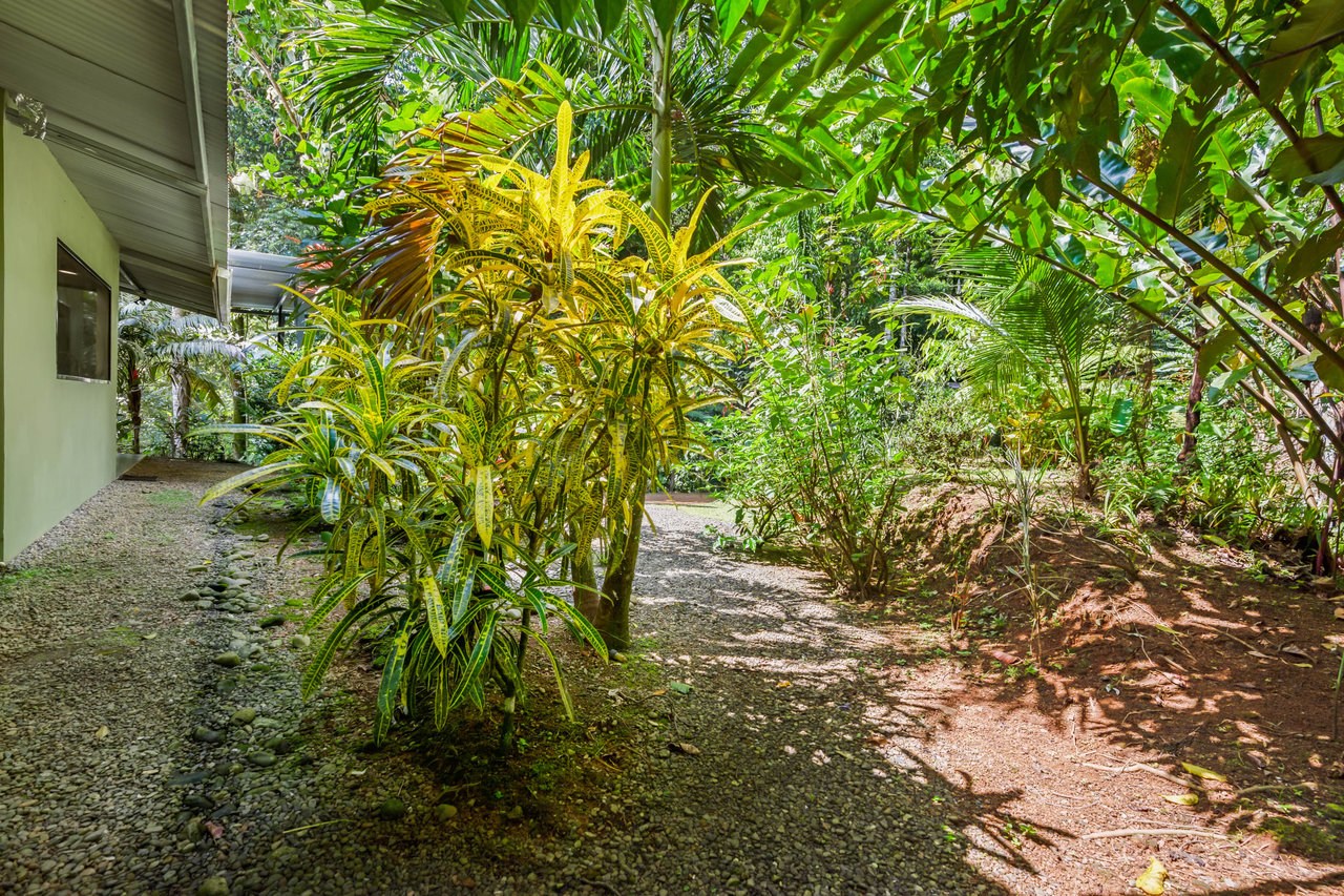 Tropical Villas on 11 Acres of Jungle. Great Location for a Retreat!