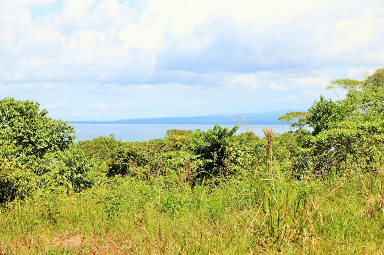 Private Beachfront Development Land, Ojochal, Puntarenas