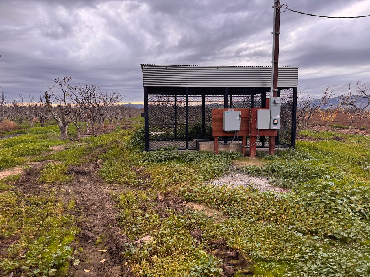 Who Wants To Own a Cherry Tree Farm?