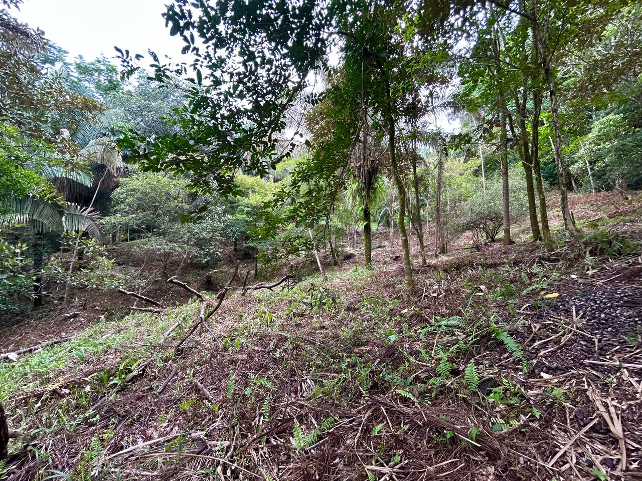 Over 1.4 Acres in Playa Hermosa – Just 5 Minutes from the Beach!