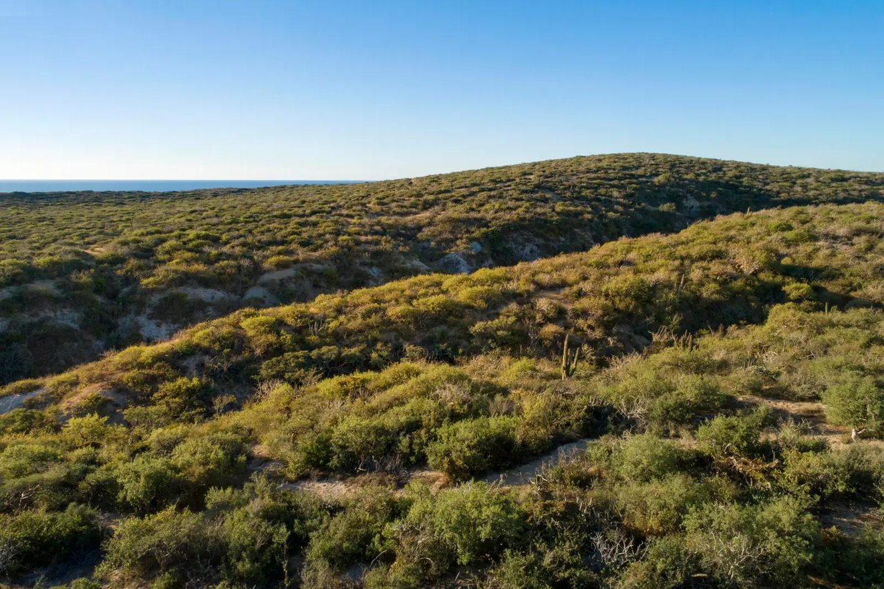 Punta Perfecta Developer Parcel