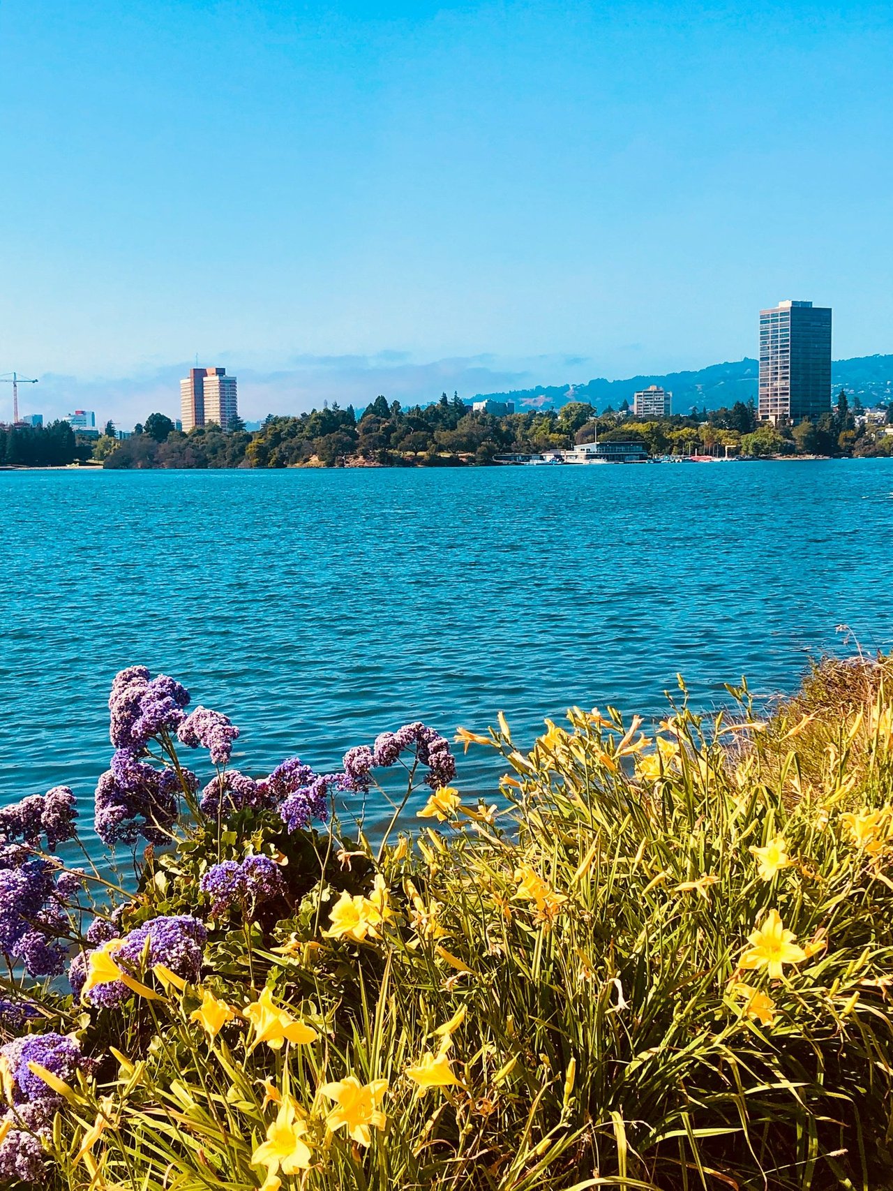 Crocker Highlands, Trestle Glen and Glenview: Oakland's Lake-Adjacent Classics