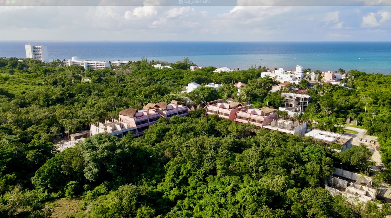 KIINO Cozumel