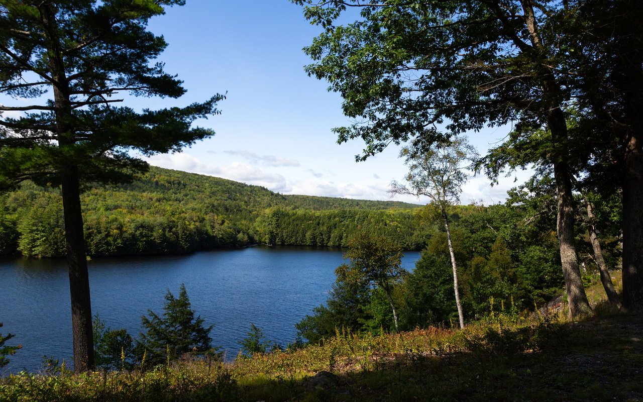 Lake bordered by forested hills, framed by trees with early autumn foliage.