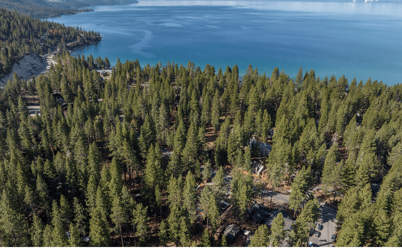Aerial view of Lake Tahoe homes nestled among evergreen trees along the shoreline.