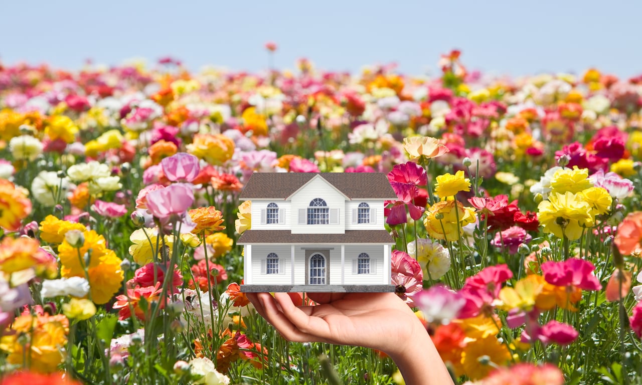 The Real Estate Market is Blooming🌸