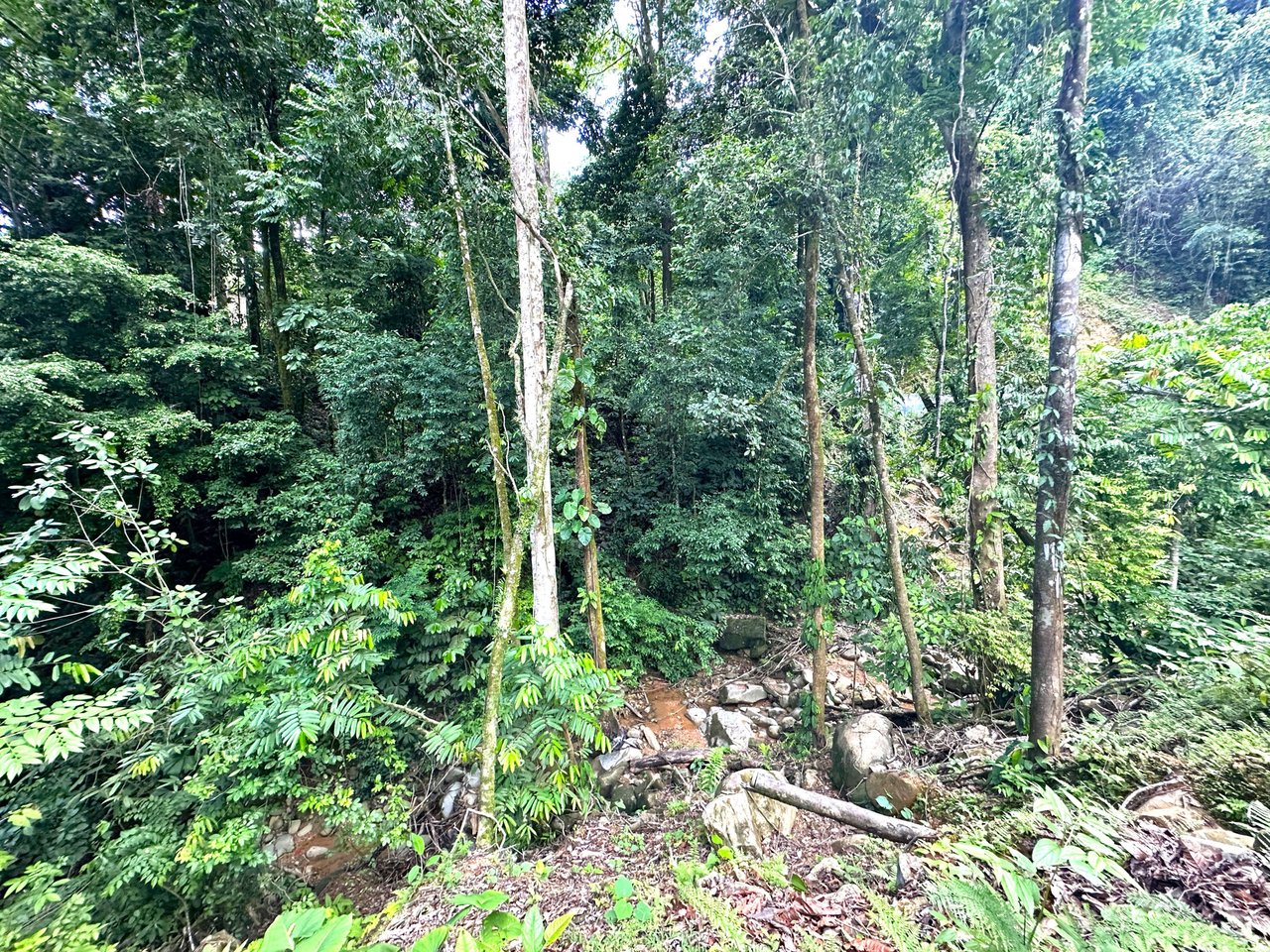 5.77 Acres With 4 Building Sites. Ocean Views, Rivers And Rainforest Abound In Cinco Ventanas! Ojochal 