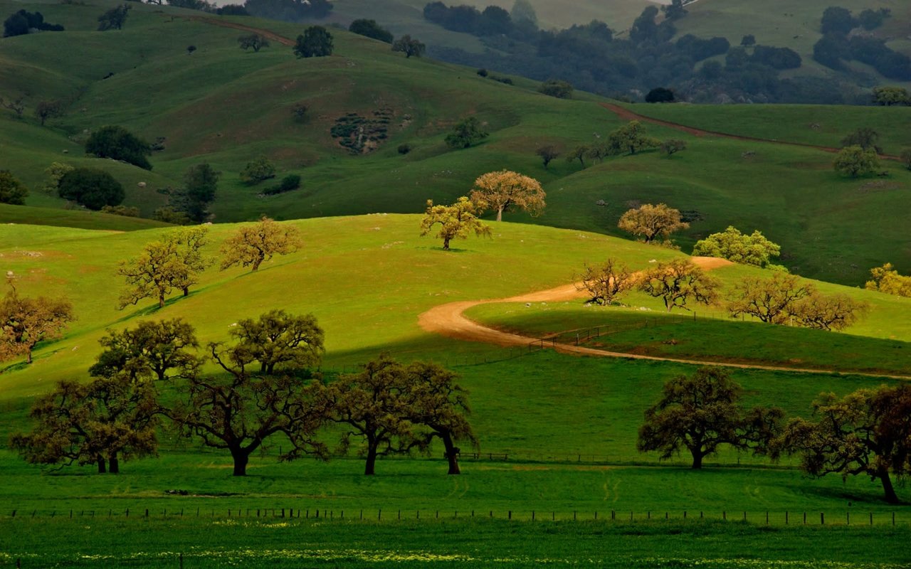 Morgan Hill