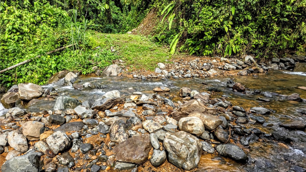 Rainforest Waterfall Acreage Estate, Dominical, Puntarenas
