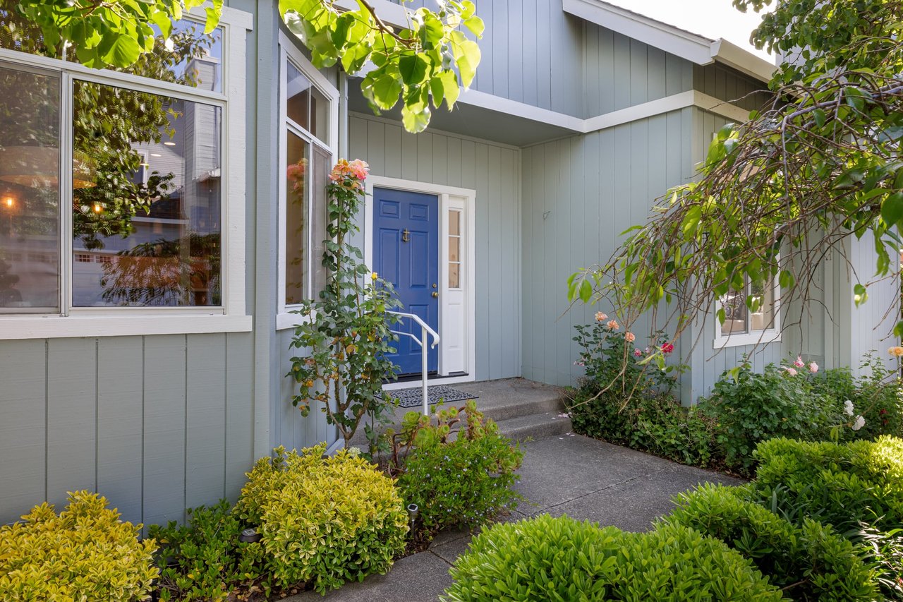 Vacation at Home on the Marin Bayshore