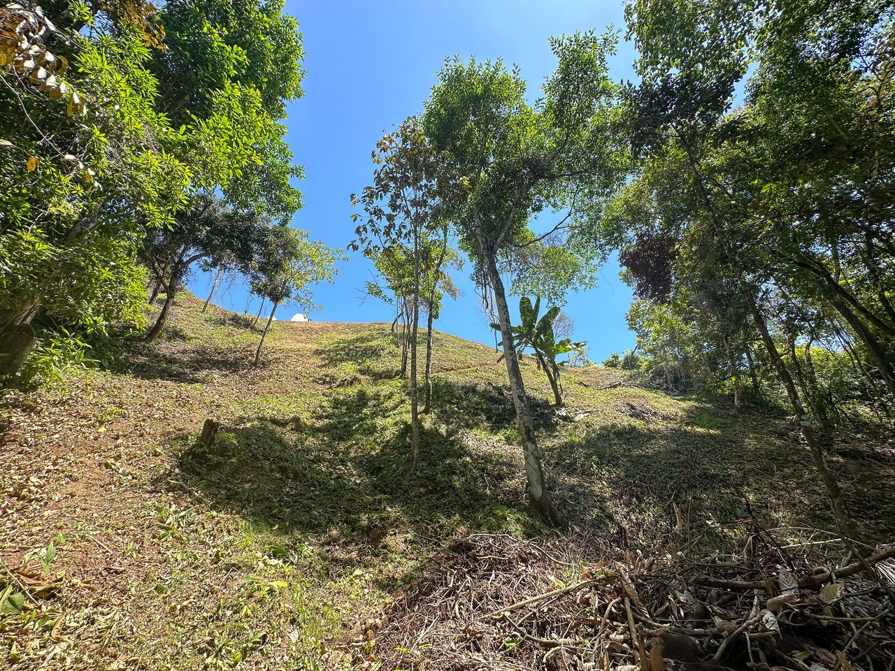 An elevated, prepared river lot with 360-degree ocean, mountain, valley and jungle views