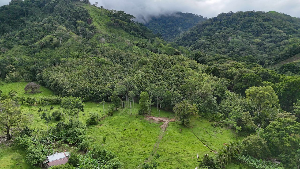 177 acre Ocean view property with multiple plantels, unspoiled mountain, jungle, river and waterfall areas