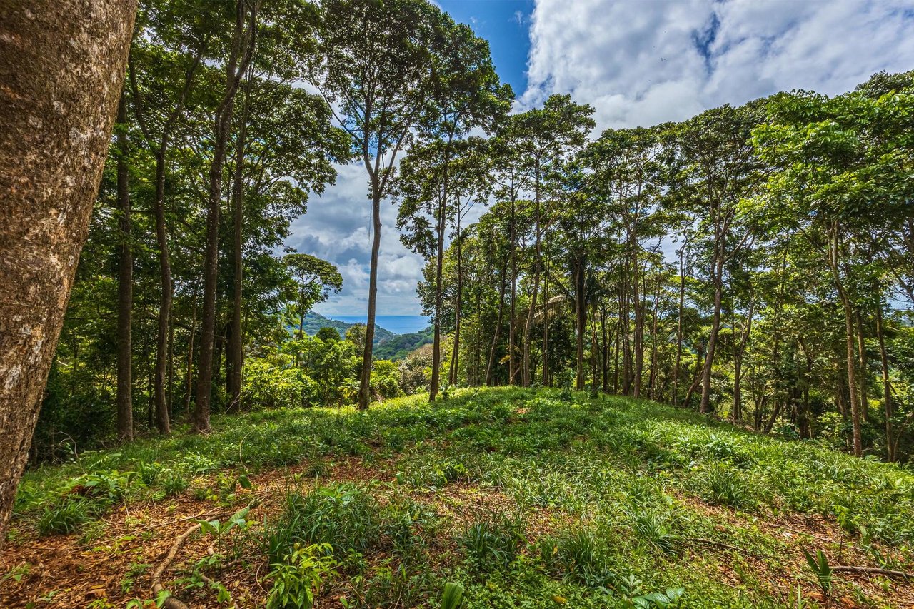 Private Ocean View Development Lot, Dominical, Puntarenas