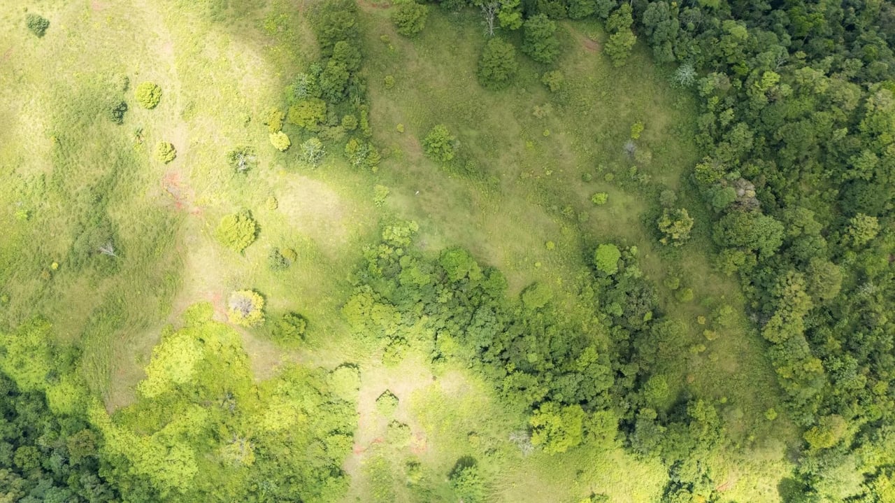 Riverside Rainforest Development Land, Osa, Puntarenas