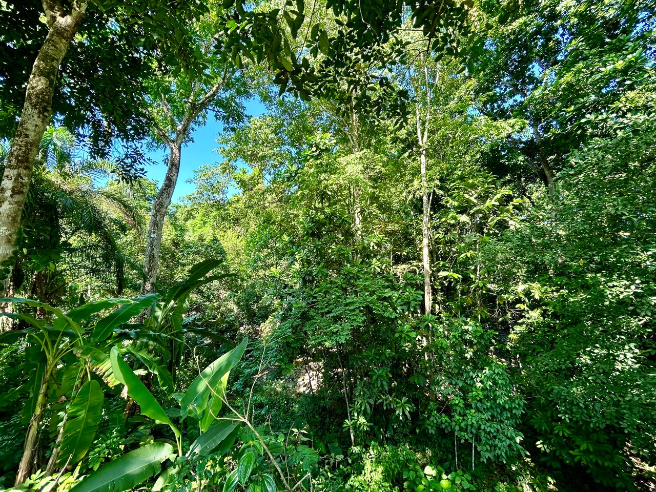 Surfer's Dream in Ojochal; 2 Bedrooms, 2 Bathrooms with Pool and River Access