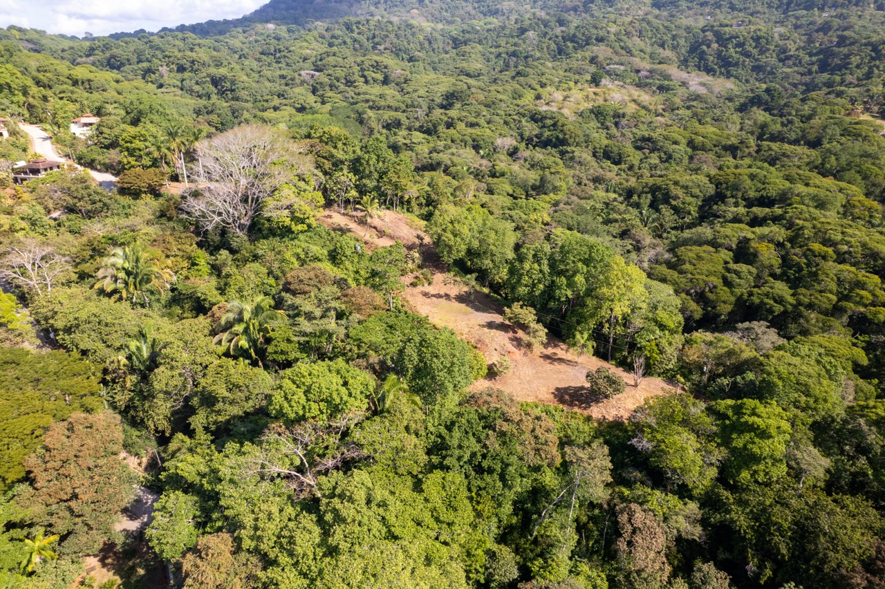 Prime Coastal Development Land, Dominical, Puntarenas