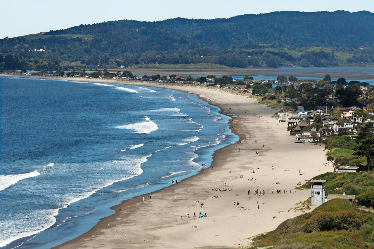 Marin Community and Real Estate Market Report - 5/29/20