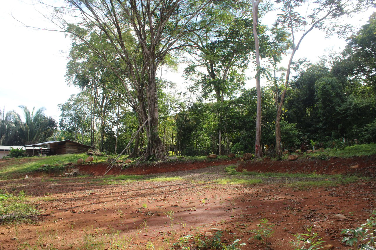 River Frontage Lot close to Uvita