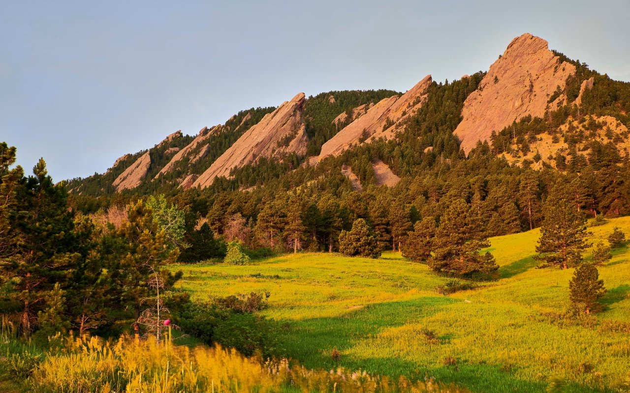 Close in Boulder Mountains