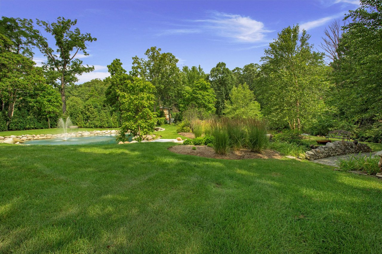 Pond Renovation