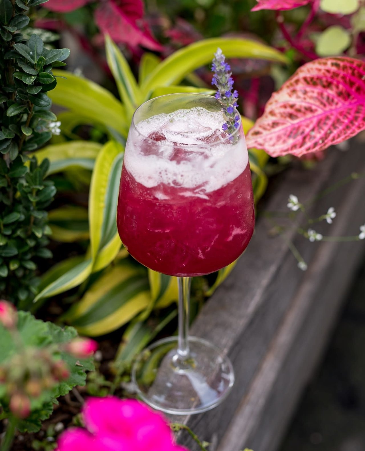 December Restaurant Feature: Cesarina