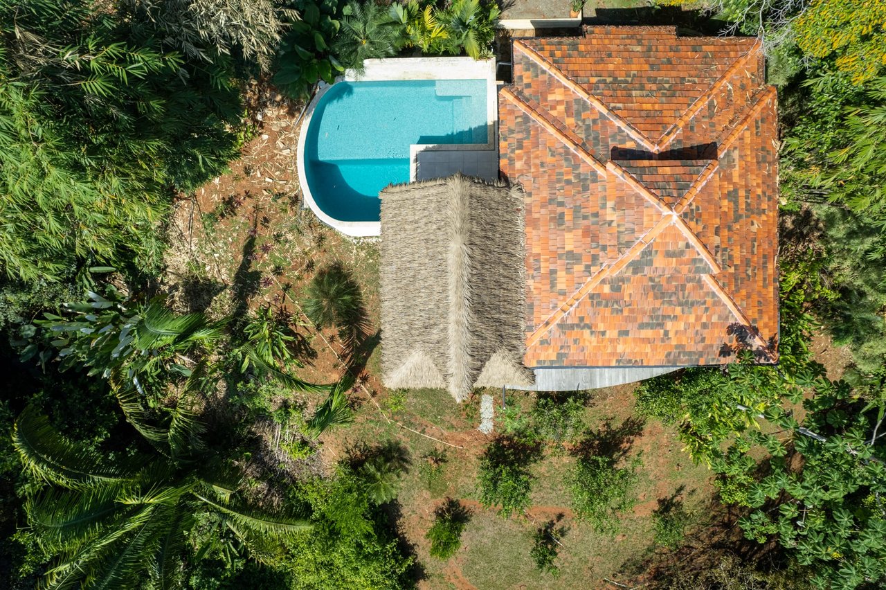 Ocean + Jungle Views at Canto de Mar Dominicalito