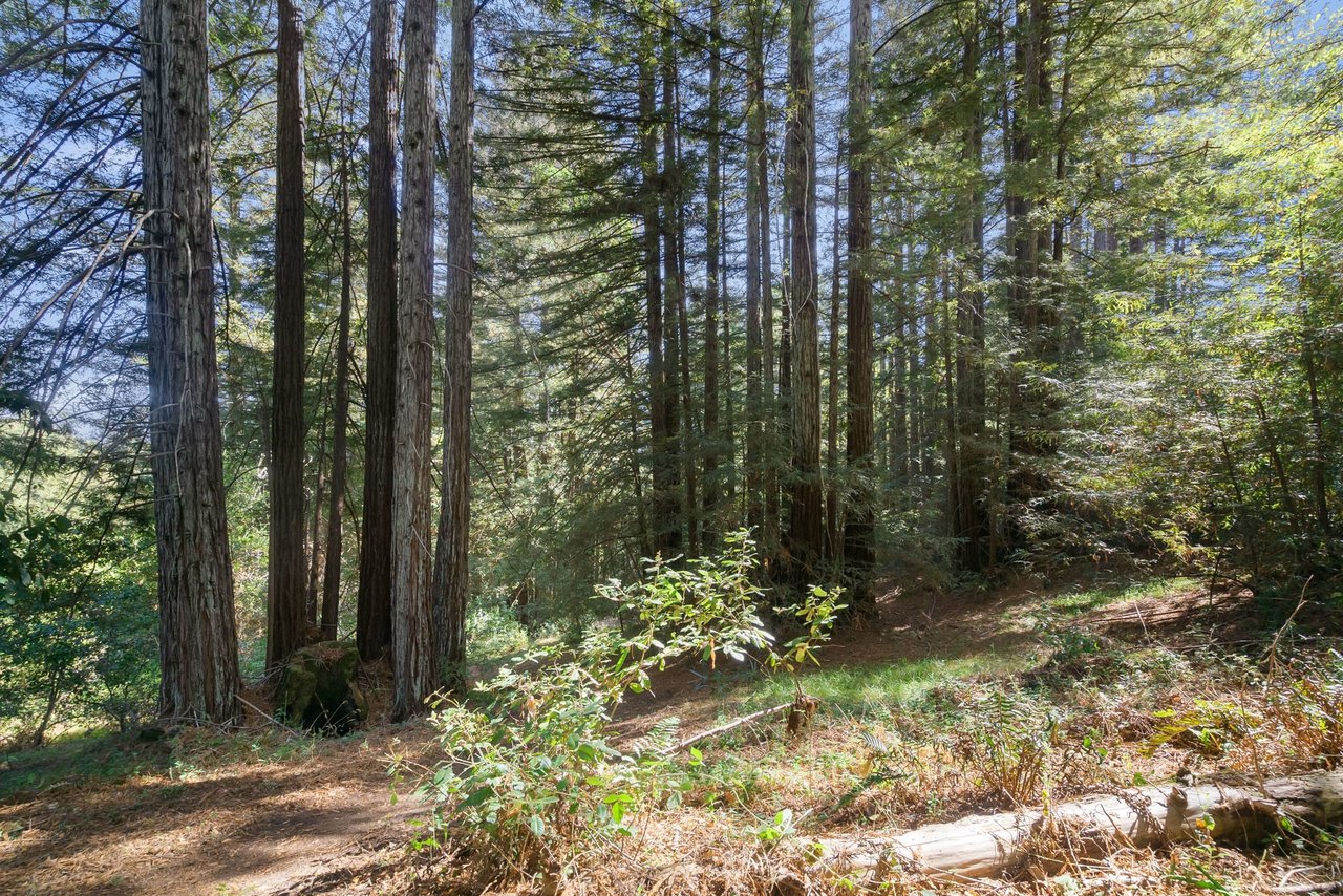 6121 Fern Flat Road