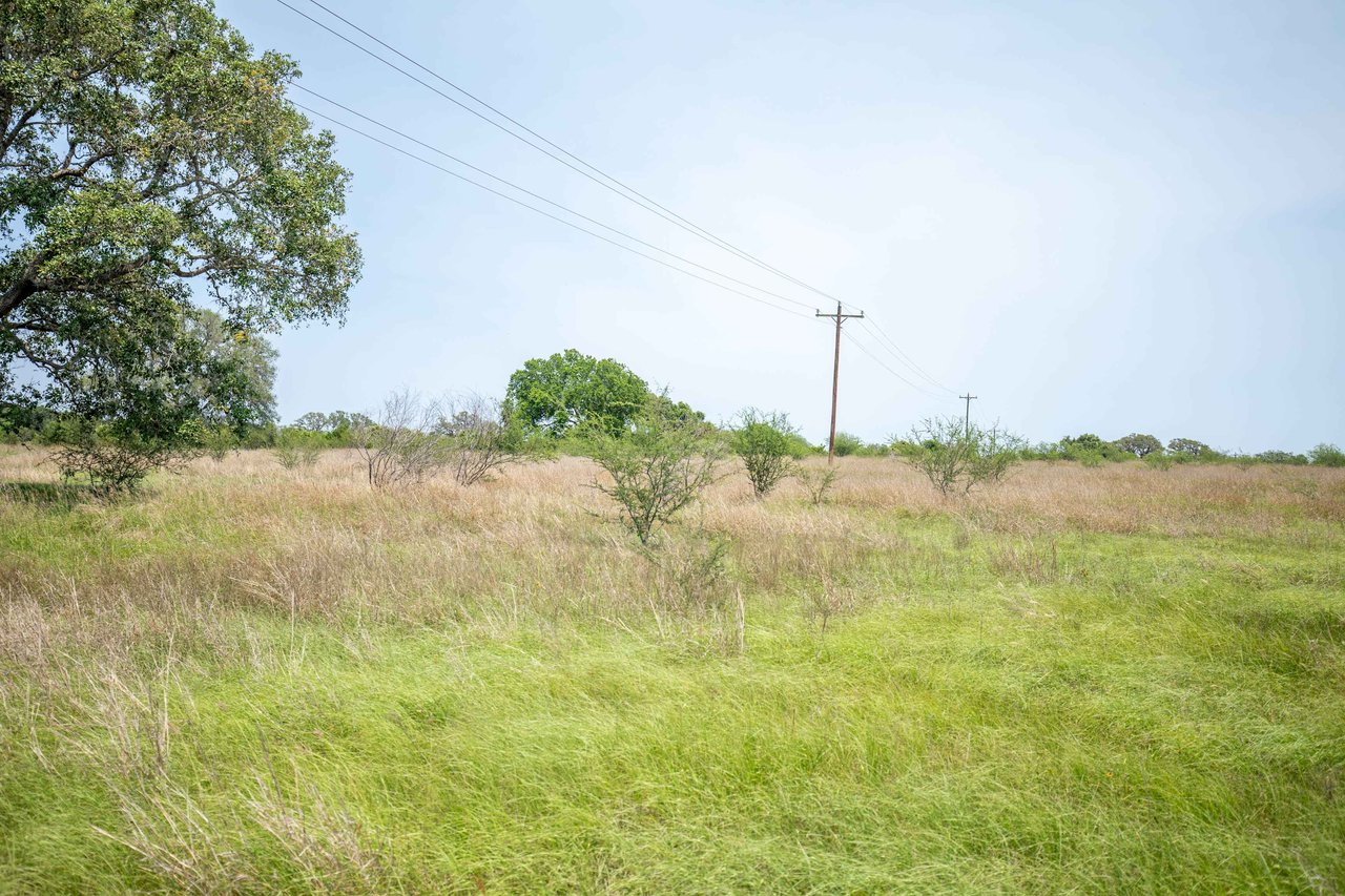 Green DeWitt Rd | 40.82± Acres | DeWitt County