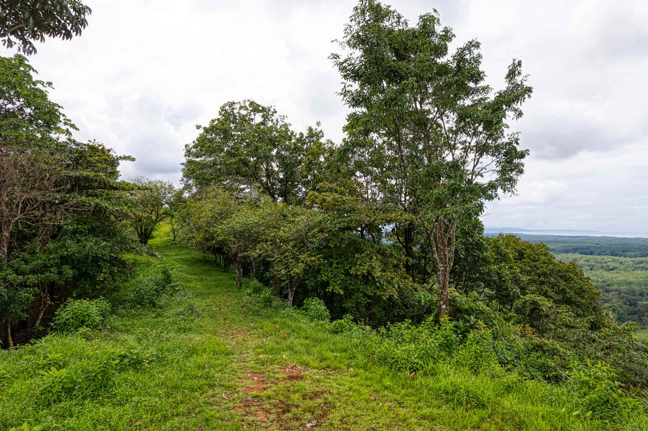 Coronado Estates Development Farm