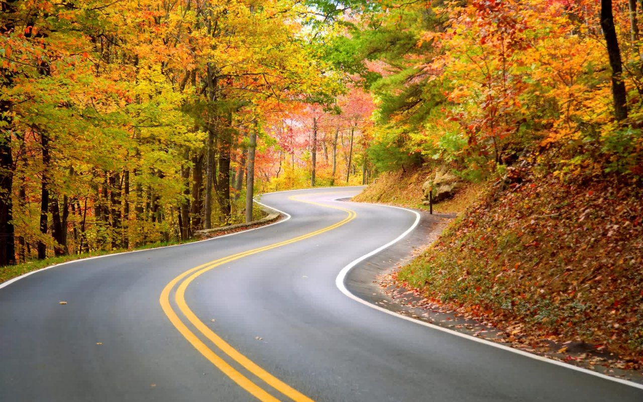 Best Places to See the Fall Leaves Change in Indiana in 2020