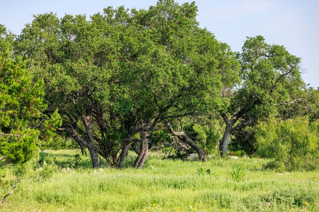 Golden Eagle Ranch