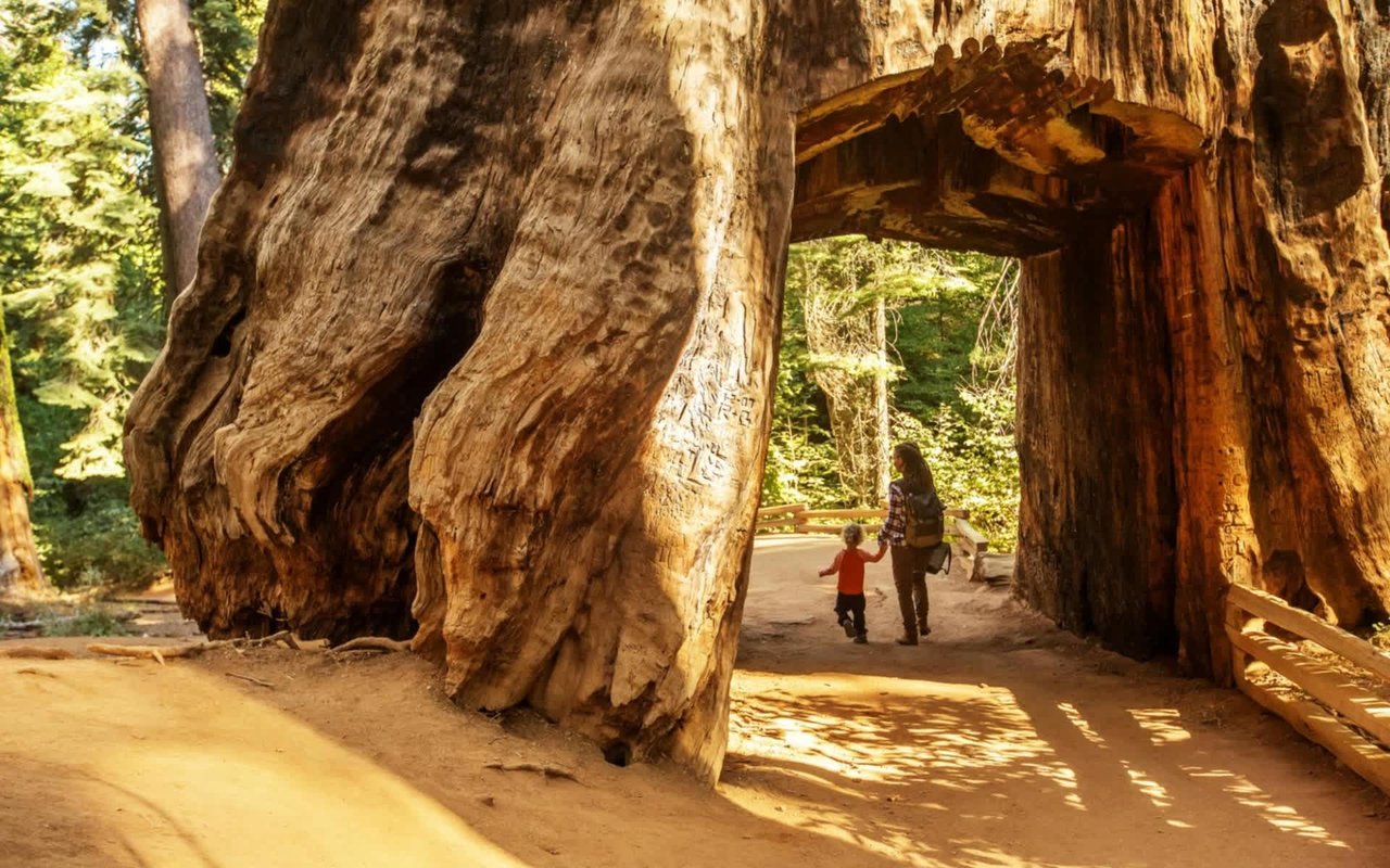 Hiking in Los Gatos, CA