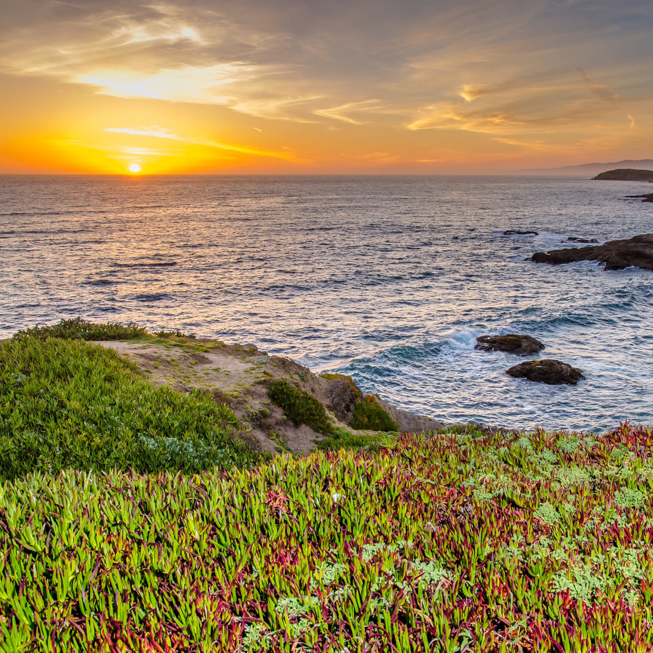 Coastal Sonoma