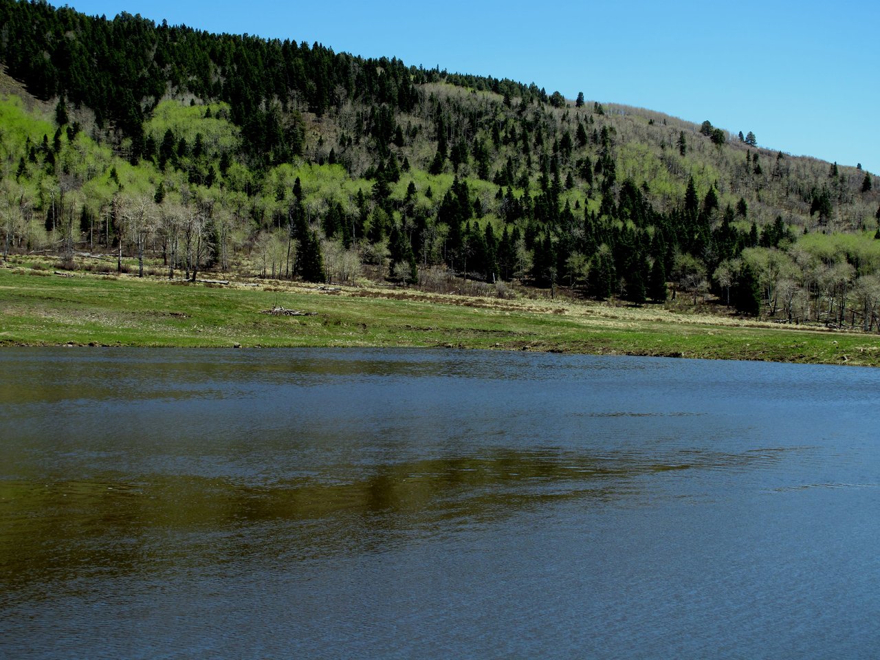 Southern Colorado Riverfront Mountain Ranch