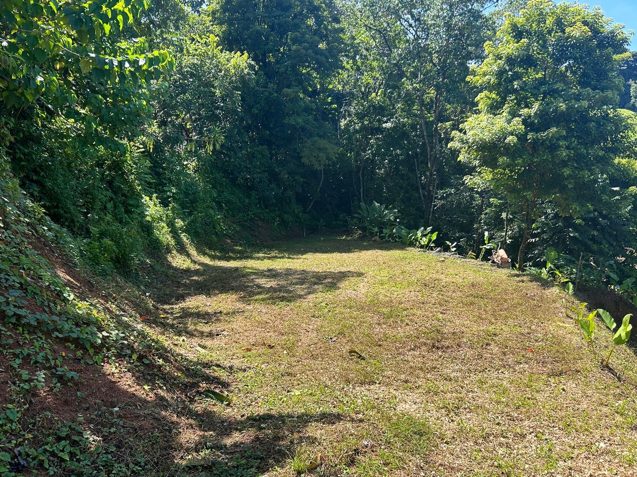 Reasonable Lot for sale in Uvita