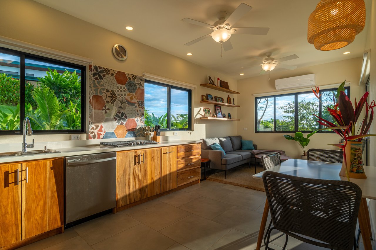Contemporary Home and Guest House, Ojochal, Puntarenas