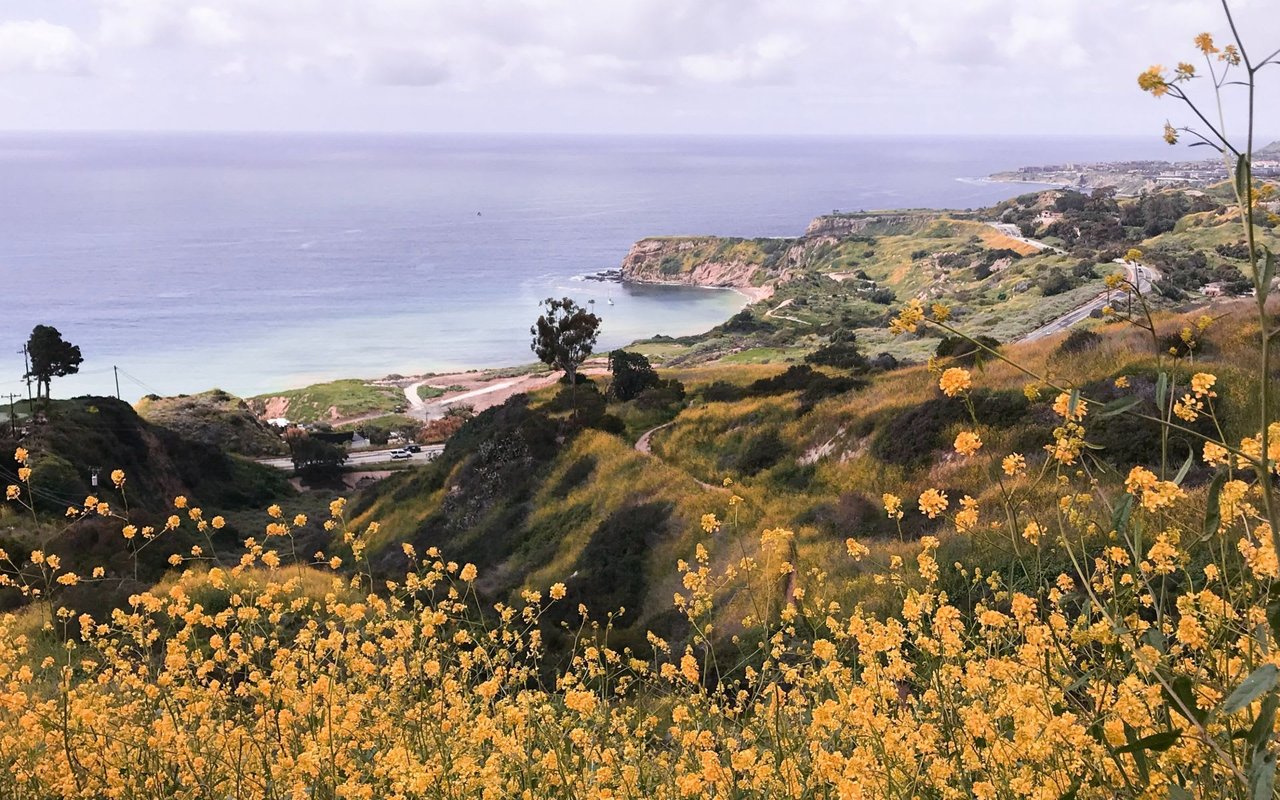 Palos Verdes