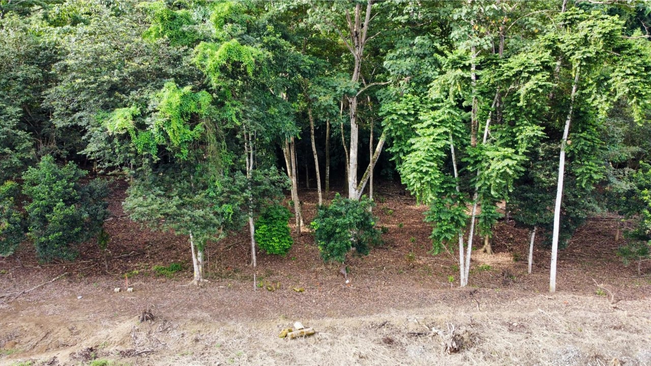 Flat Commercial Development Lot, Osa, Puntarenas