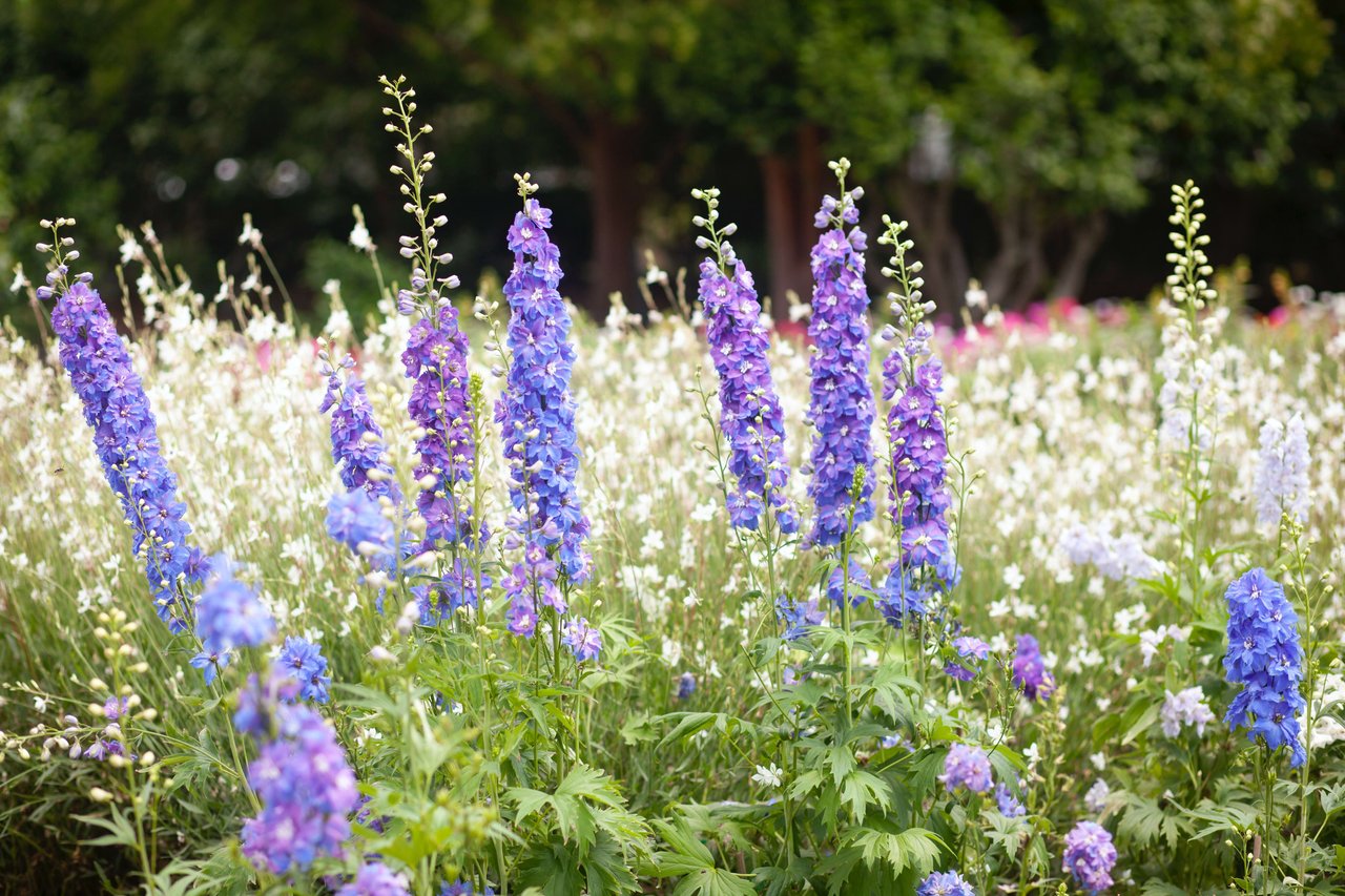 Join Us Today 6 - 8 PM